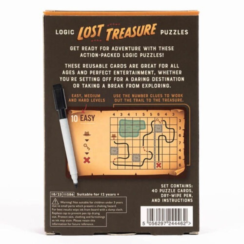 Lost treasure logic puzzle