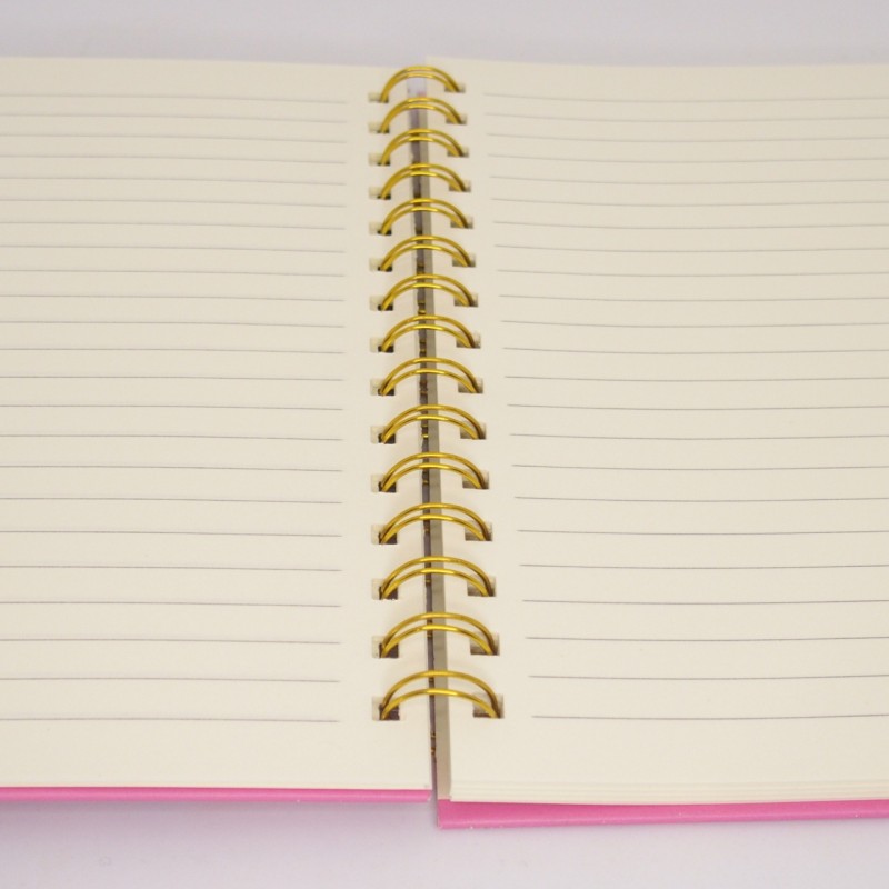 Τετράδιο pop it