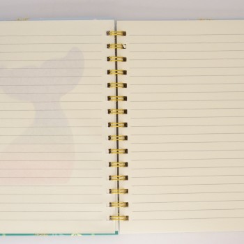 Τετράδιο pop it