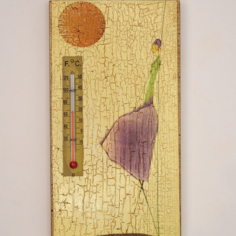 Καδράκι με θερμόμετρο