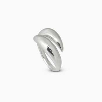 Δαχτυλίδι φασόλι