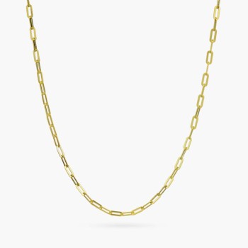 Ασημένια αλυσίδα επίχρυση