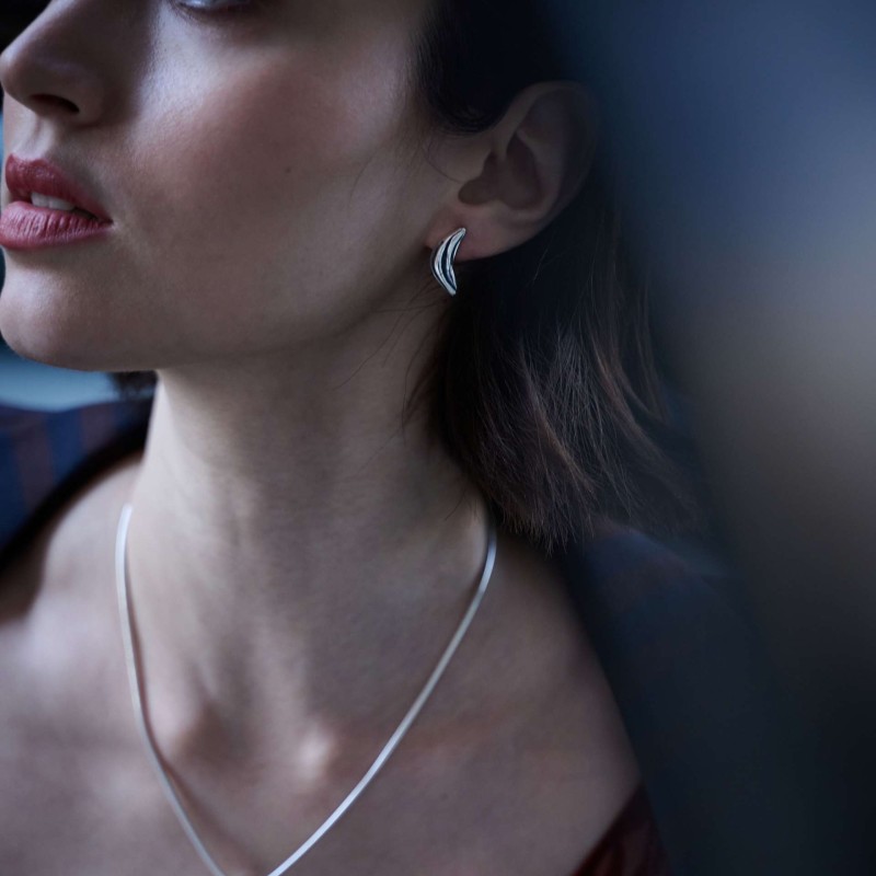 Σκουλαρίκια Zebra