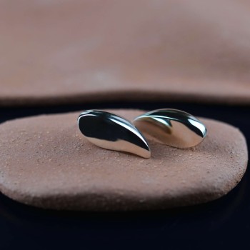 Σκουλαρίκια φύλλα γυαλιστερά