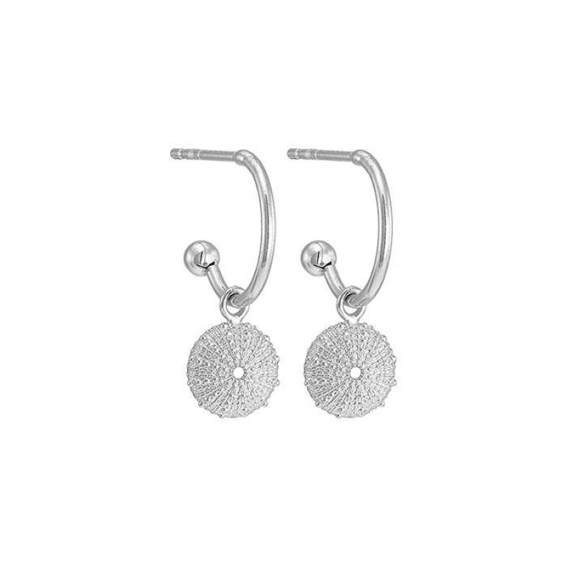 Σκουλαρίκια με αχινό