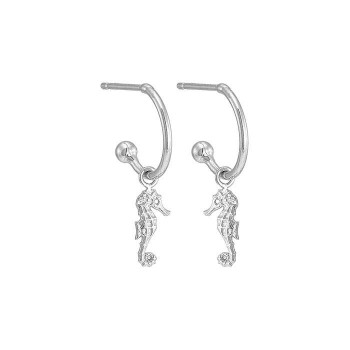 Σκουλαρίκια με ιππόκαμπο