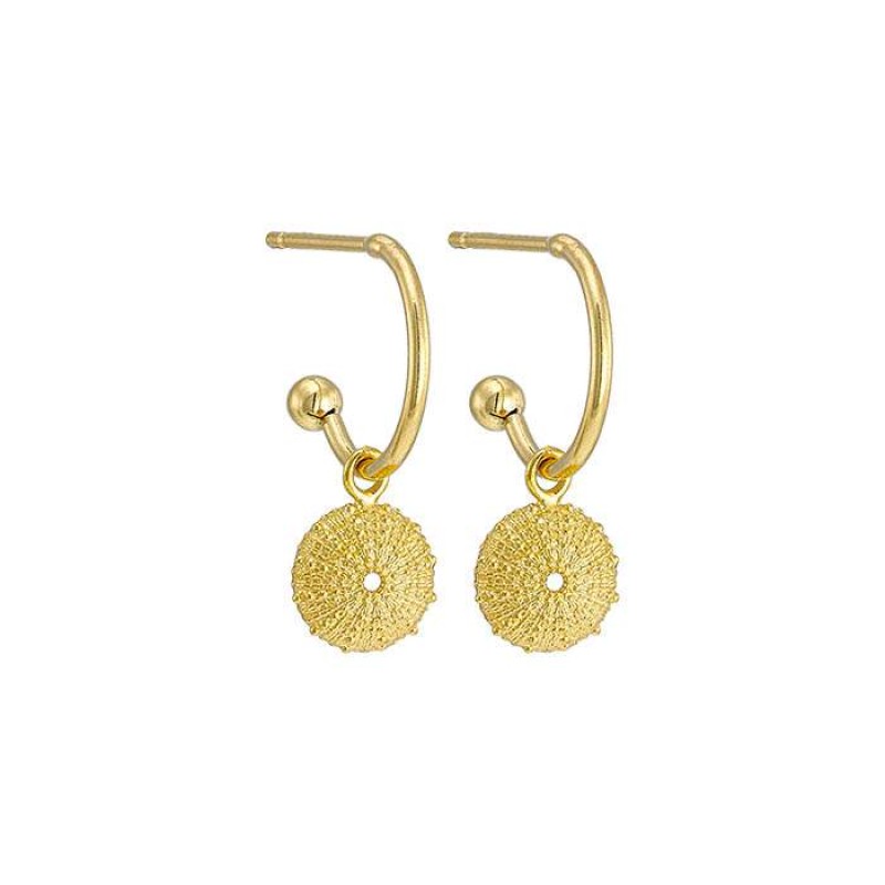 Σκουλαρίκια με αχινό