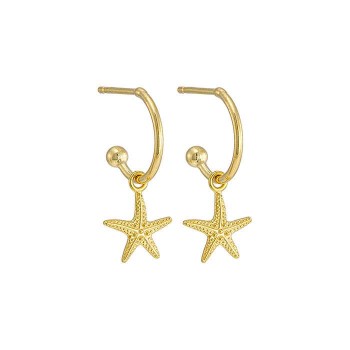 Σκουλαρίκια με αστερία