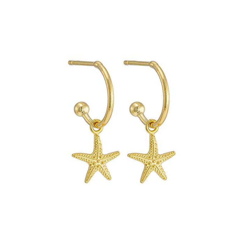 Σκουλαρίκια με αστερία
