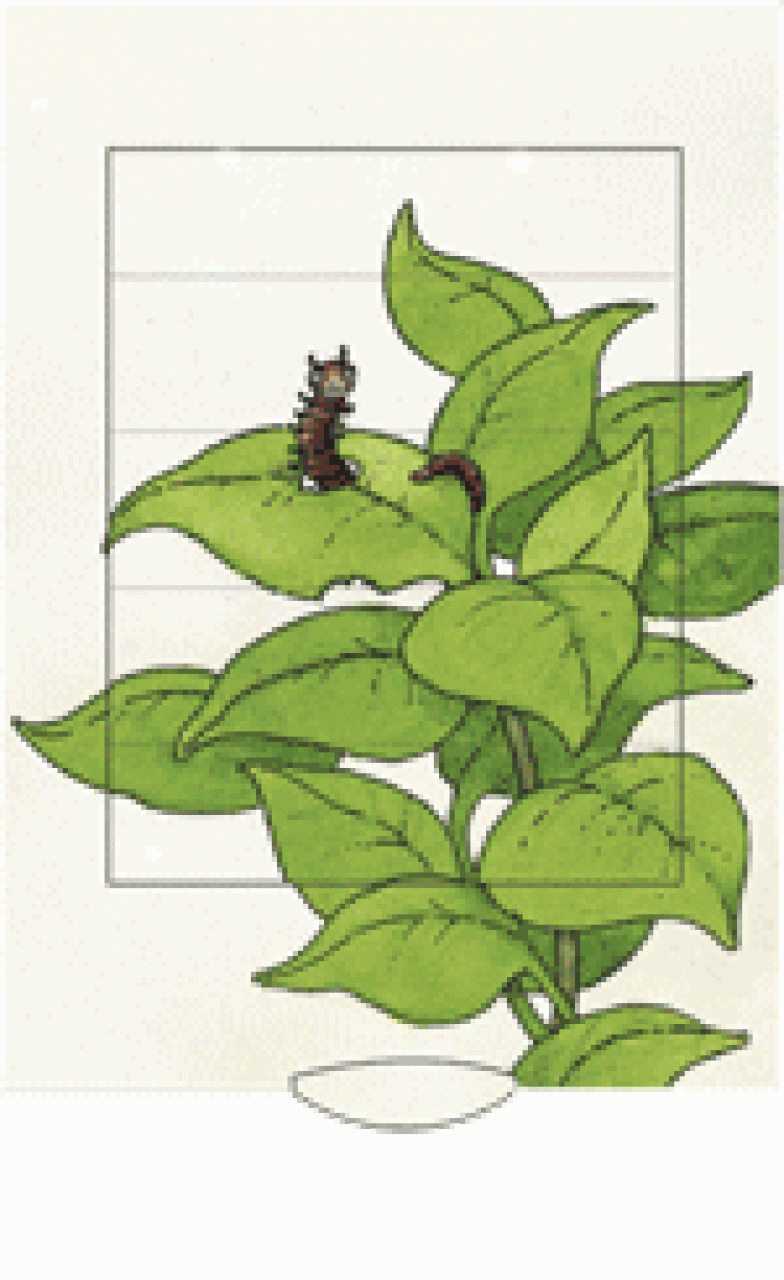 Ζωντανή κάρτα ""Ο στολισμός του δέντρου"